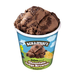 ben and jerry's vegan chocolate fudge brownie 465ml