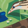 CORN CRAKE